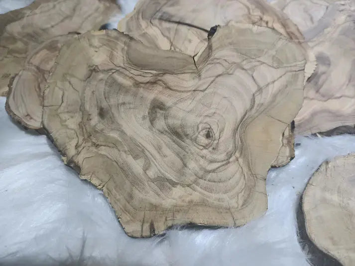 Circle Olive Wood Slabs from Tree Branches for DIY - Our3Designs