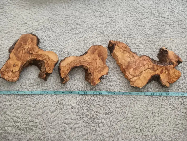 Live Edge Varnished Olive Wood Slabs – Set of 6, 10, or 16 for Epoxy Tables, DIY Crafts & Resin Projects - Our3Designs