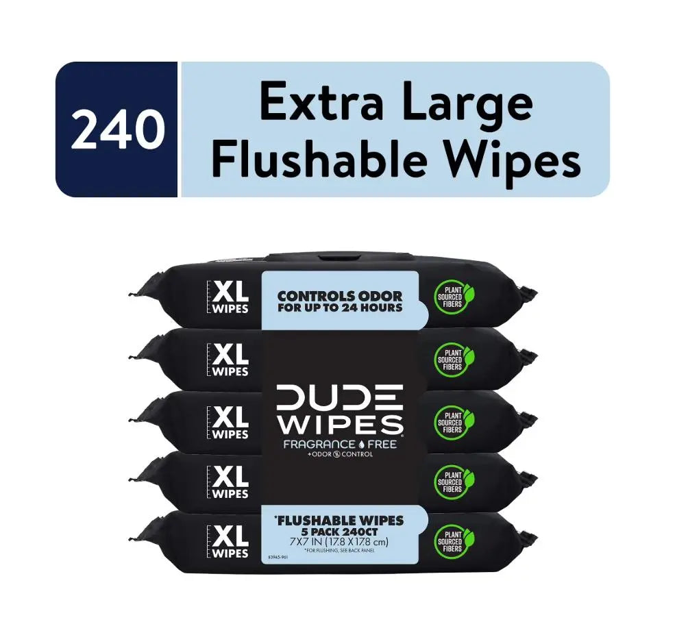 DUDE Wipes Fragrance Free Plus Odor Control, XL Wipes, 48 Count, 5 Pack