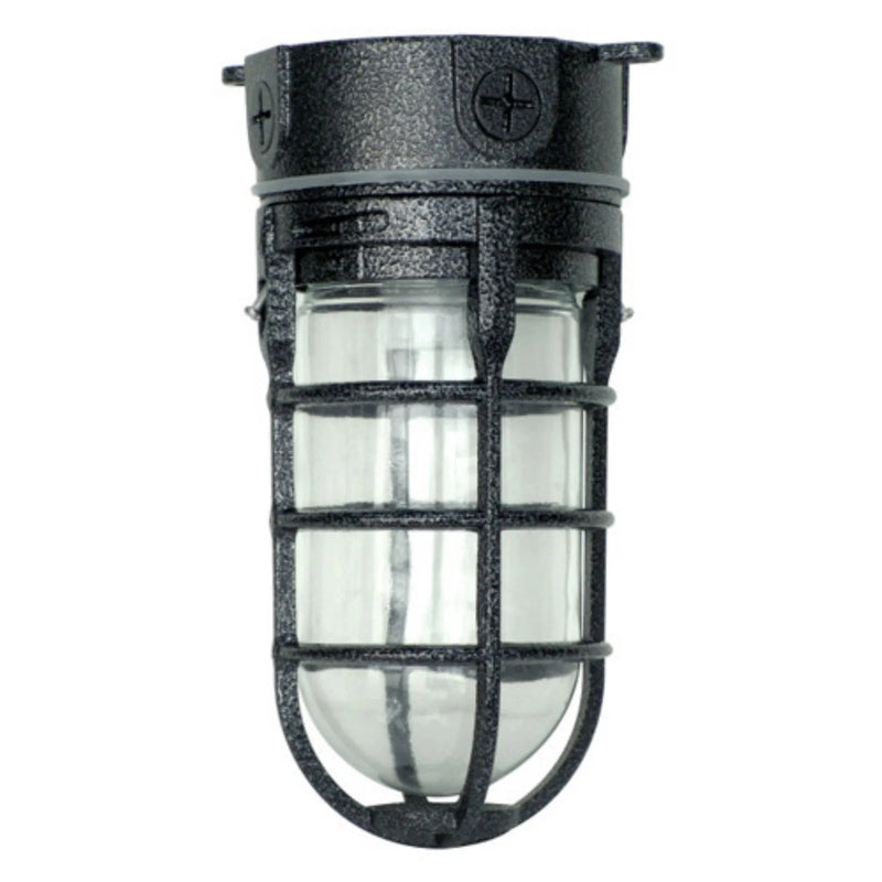 L1706AB Vandal Resistant 150W Incandescent Security Light, Ceiling Mount, Antique Brass