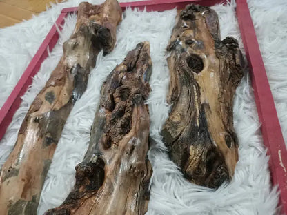 12" - 30" Length Olive Tree Barks Sets - Our3Designs