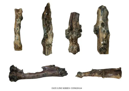 12" - 30" Length Olive Tree Barks Sets - Our3Designs