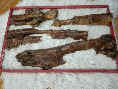 12" - 30" Length Olive Tree Barks Sets - Our3Designs