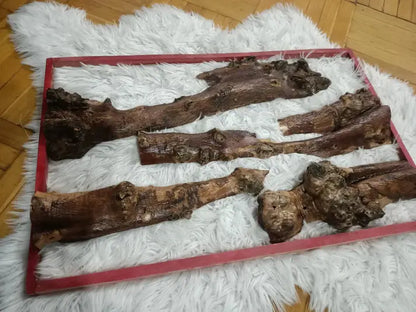 12" - 30" Length Olive Tree Barks Sets - Our3Designs