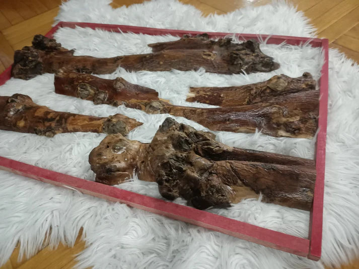 12" - 30" Length Olive Tree Barks Sets