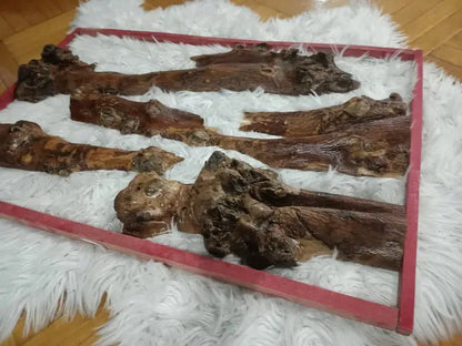 12" - 30" Length Olive Tree Barks Sets - Our3Designs