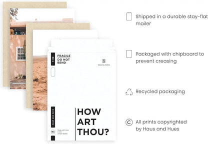 Desert Succulent Wall Art - Set of 6 Botanical Prints, Southwestern Wall Decor, Cactus Posters, Joshua Tree Wall Art UNFRAMED (11X14)