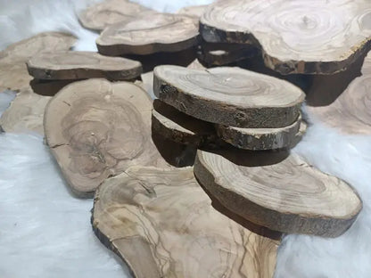 Circle Olive Wood Slabs from Tree Branches for DIY - Our3Designs