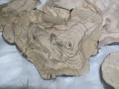 Circle Olive Wood Slabs from Tree Branches for DIY - Our3Designs