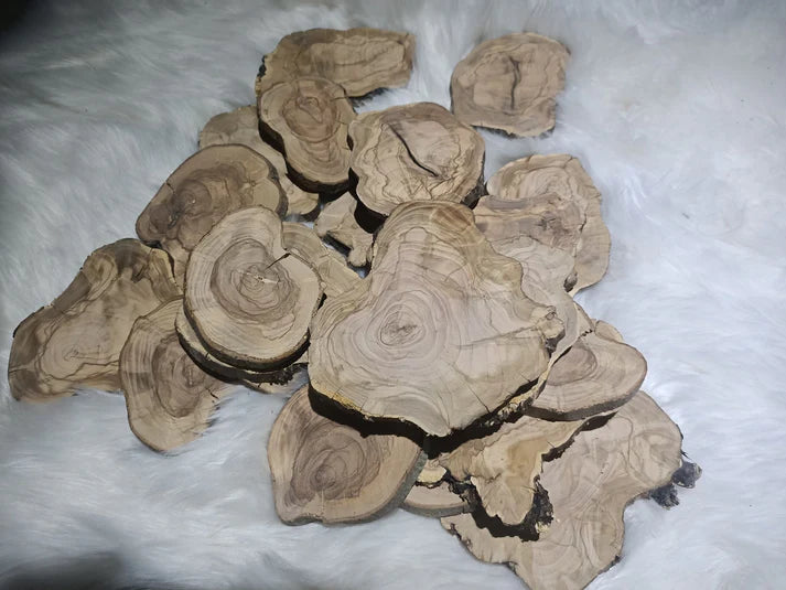 Circle Olive Wood Slabs from Tree Branches for DIY