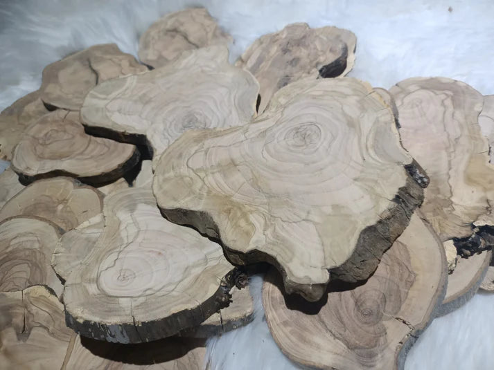 Circle Olive Wood Slabs from Tree Branches for DIY