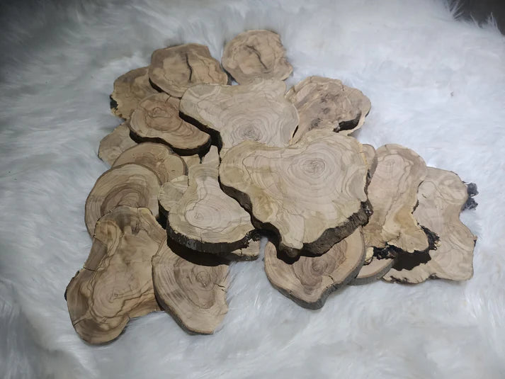 Circle Olive Wood Slabs from Tree Branches for DIY