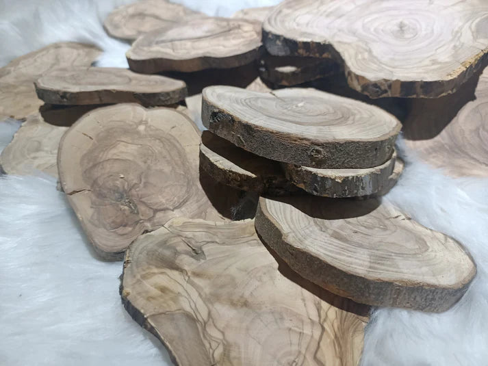 Circle Olive Wood Slabs from Tree Branches for DIY