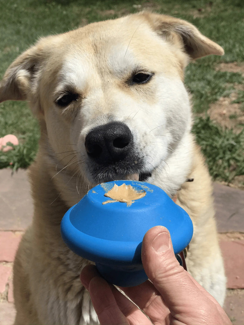 Ultra-Durable Flying Saucer Chew Toy & Treat Dispenser for Dogs WooF WooF MeoW MeoW