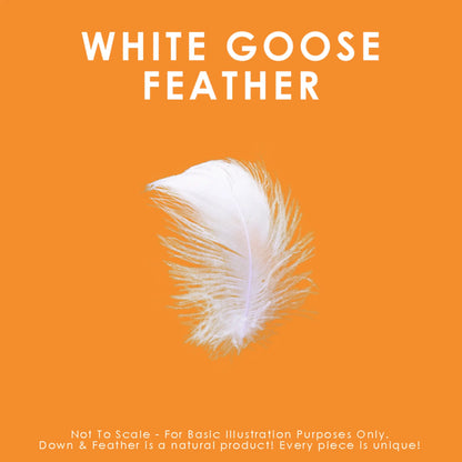 White Goose Feather Comforter - All Season - Queen
