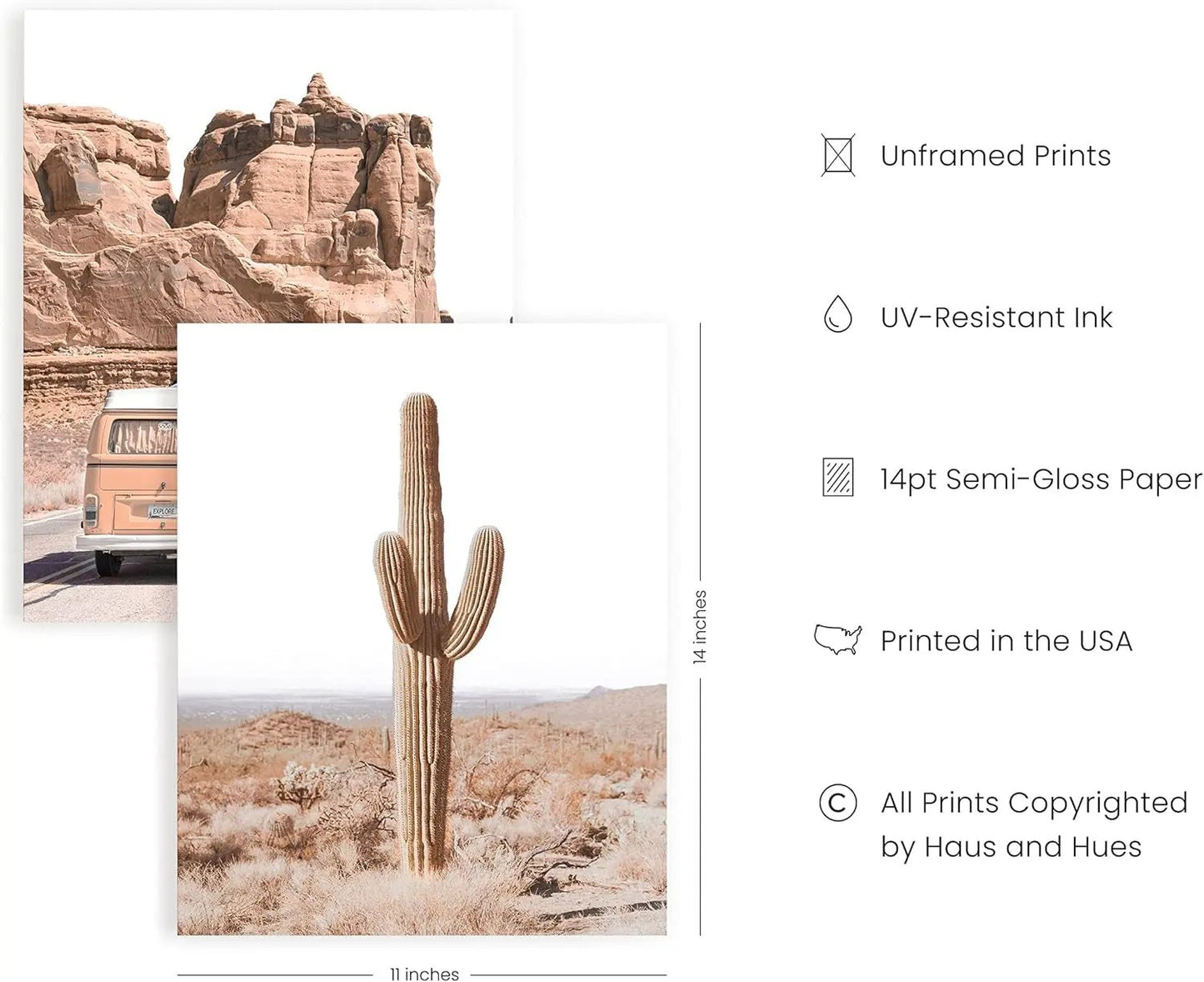 Desert Succulent Wall Art - Set of 6 Botanical Prints, Southwestern Wall Decor, Cactus Posters, Joshua Tree Wall Art UNFRAMED (11X14)