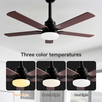 Upgrade your space with our 42" Noiseless Ceiling Fan with Lights & Remote! Perfect for any room, indoors or outdoors! 🌟💨 #HomeDecor #CeilingFan