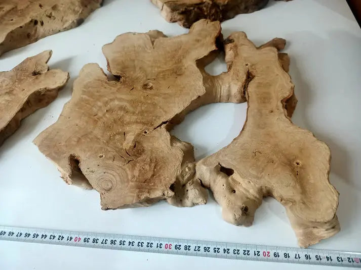 Live Edge Olive Wood Slab Set for DIY Epoxy - Our3Designs