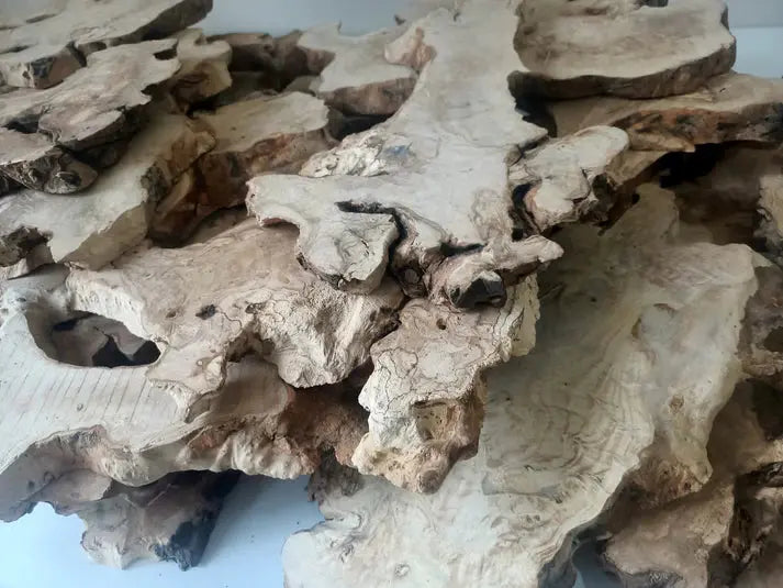 Live Edge Olive Wood Slab Set for DIY Epoxy - Our3Designs