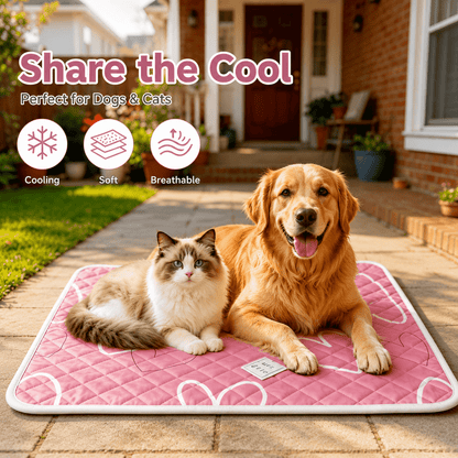 Cooling Pet Bed, Breathable Sweat Absorbing Dog or Cat Bed
