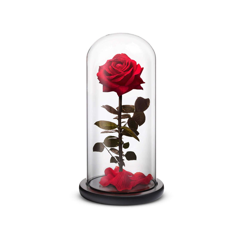 Everlasting Rose (Red) ROSEPHORIA