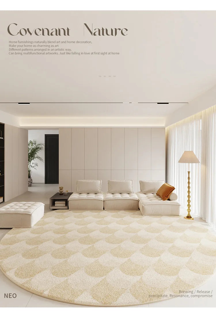 Modern Rugs for Bedroom Fluffy Soft Lounge Rug Thick Cloakroom