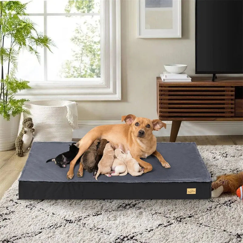 Large Orthopaedic Dog Bed Waterproof Cushion Pet Mattress 2 In 1 Pet Dog Crate Bed with Removable Washable Cover Indoor Outdoor Our3Designs