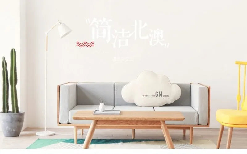 Natural Sheepskin Rug Long Wool Sofa Cover