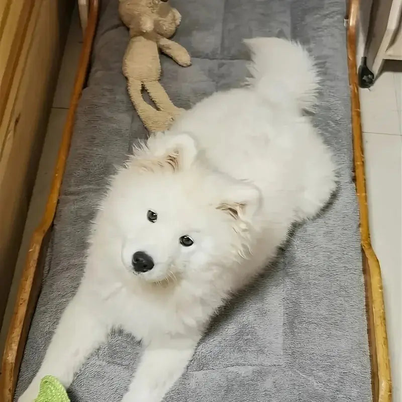 Extra-large plush dog bed/sofa/cat bed/dog house/cage mat, thick and super soft polyester pet mat Our3Designs