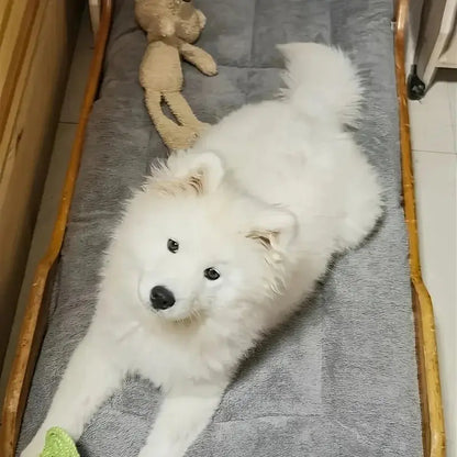 Extra-large plush dog bed/sofa/cat bed/dog house/cage mat, thick and super soft polyester pet mat Our3Designs