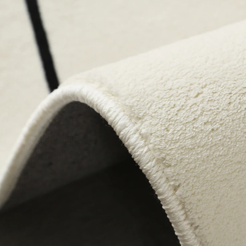 Modern Luxury Carpets for Living Room Fluffy Soft Plush Rug