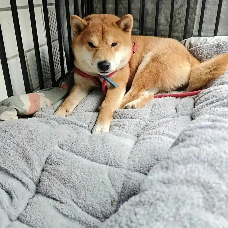 Extra-large plush dog bed/sofa/cat bed/dog house/cage mat, thick and super soft polyester pet mat Our3Designs