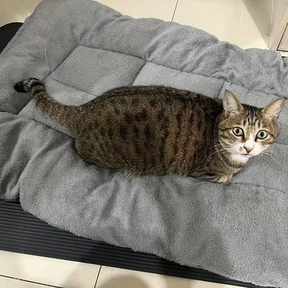 Extra-large plush dog bed/sofa/cat bed/dog house/cage mat, thick and super soft polyester pet mat Our3Designs