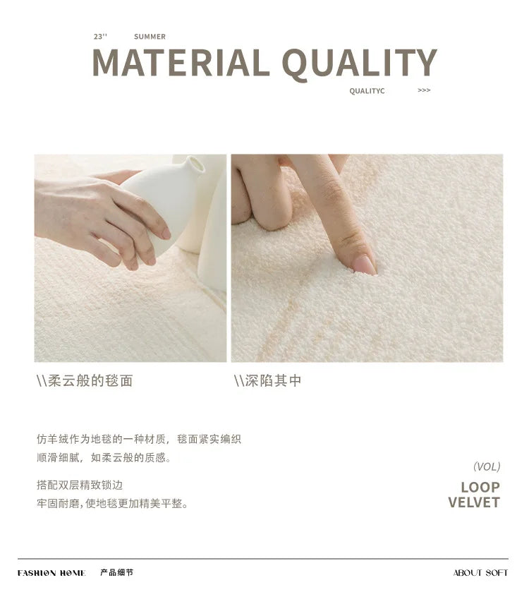 Modern Rugs for Bedroom Fluffy Soft Lounge Rug Thick Cloakroom