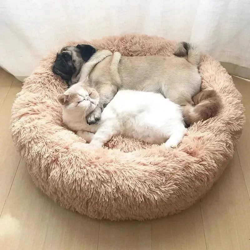 Super Soft Pet Cat Bed Plush Full Size Washable Calm Bed Donut Bed Comfortable Sleeping Artifact Suitable For All Kinds Of Cats Our3Designs