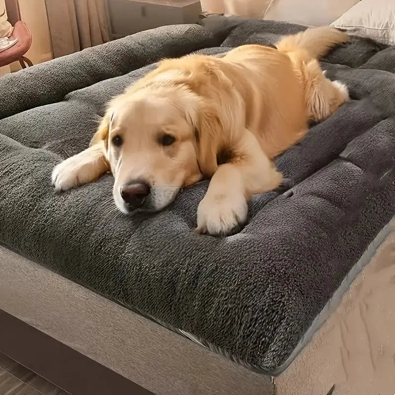 Extra-large plush dog bed/sofa/cat bed/dog house/cage mat, thick and super soft polyester pet mat Our3Designs