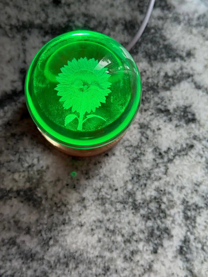 Sunflower Gift – 3D Crystal LED Mood Light – Sunflower Lamp for Her, Nature Lover Decor, Night Light for Bedroom or Desk - Our3Designs