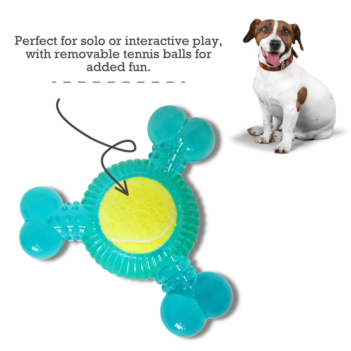 3-Bone TPR Chew Toy with Squeaker & Tennis Ball for Dogs – Removable Ball & Interactive Play American Pet Supplies