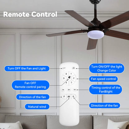 Upgrade your space with our 42" Noiseless Ceiling Fan with Lights & Remote! Perfect for any room, indoors or outdoors! 🌟💨 #HomeDecor #CeilingFan