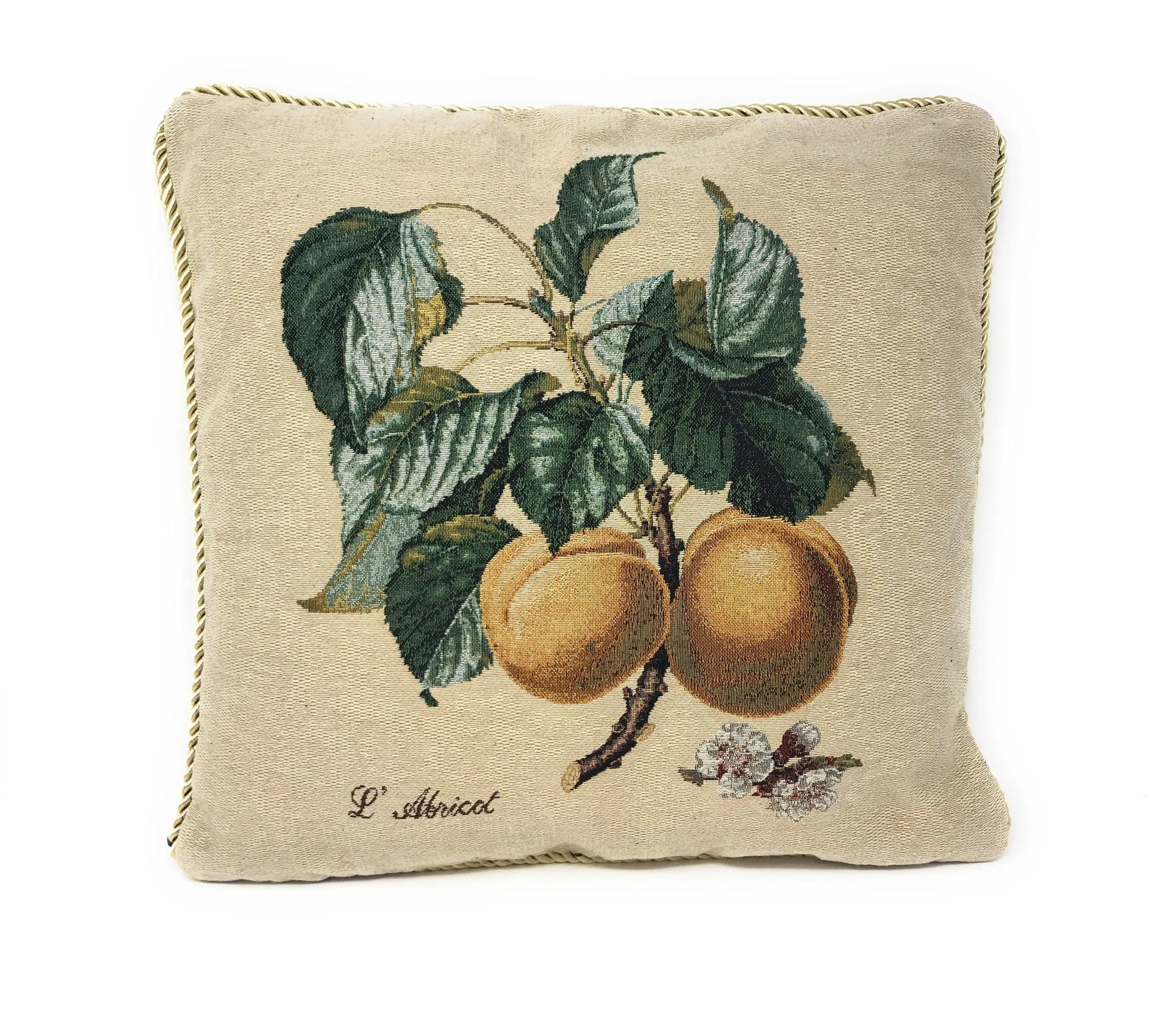 DaDa Bedding Apricot Fruit Elegant Accent Throw Pillow Cushion Cover - 1-Piece - 18" DaDalogy Bedding Collection