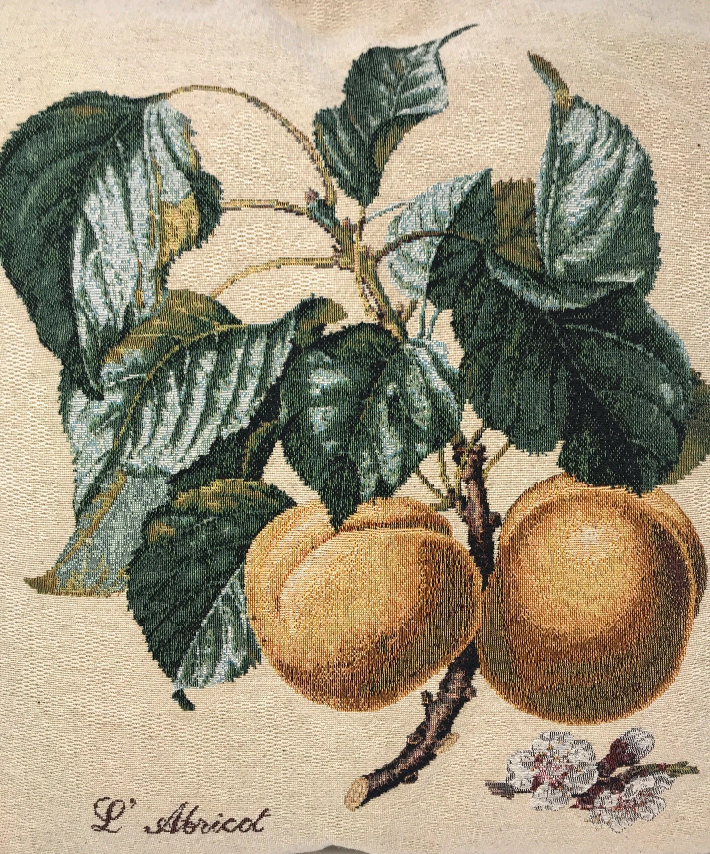 DaDa Bedding Apricot Fruit Elegant Accent Throw Pillow Cushion Cover - 1-Piece - 18" DaDalogy Bedding Collection