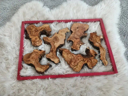 Live Edge Varnished Olive Wood Slabs – Set of 6, 10, or 16 for Epoxy Tables, DIY Crafts & Resin Projects - Our3Designs