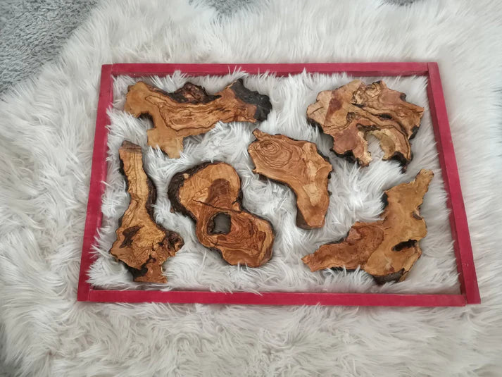 Live Edge Varnished Olive Wood Slabs – Set of 6, 10, or 16 for Epoxy Tables, DIY Crafts & Resin Projects
