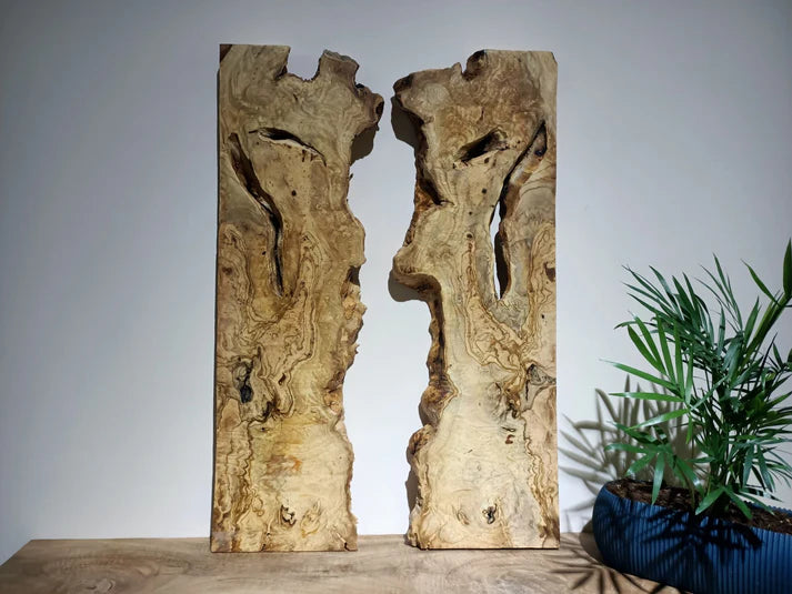 Olive Wood Slab for DIY Epoxy River Table 20"