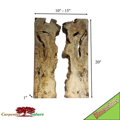 Olive Wood Slab for DIY Epoxy River Table 20" - Our3Designs