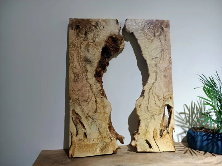 Olive Wood Slab for DIY Epoxy River Table 20"