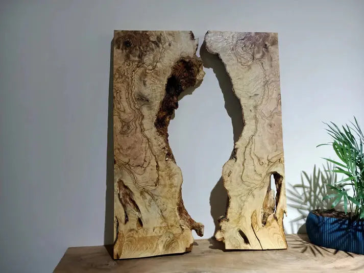 Olive Wood Slab for DIY Epoxy River Table 20" - Our3Designs