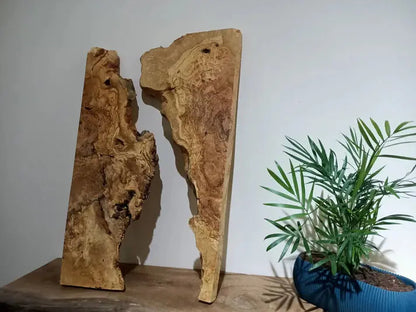 Olive Wood Slab for DIY Epoxy River Table 20" - Our3Designs