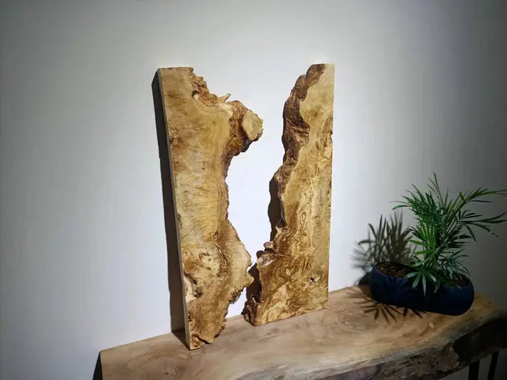 Olive Wood Slab for DIY Epoxy River Table 20" - Our3Designs