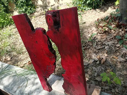 Red Olive Wood Slab for DIY Epoxy River Table 20" - Our3Designs